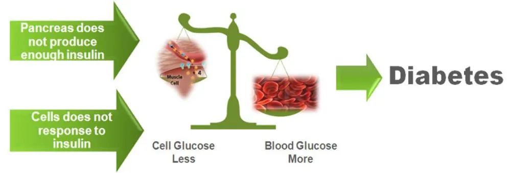 OEM GMP certified balance blood pressure Bitter Melon Extract tablets capsules nutritional supplement