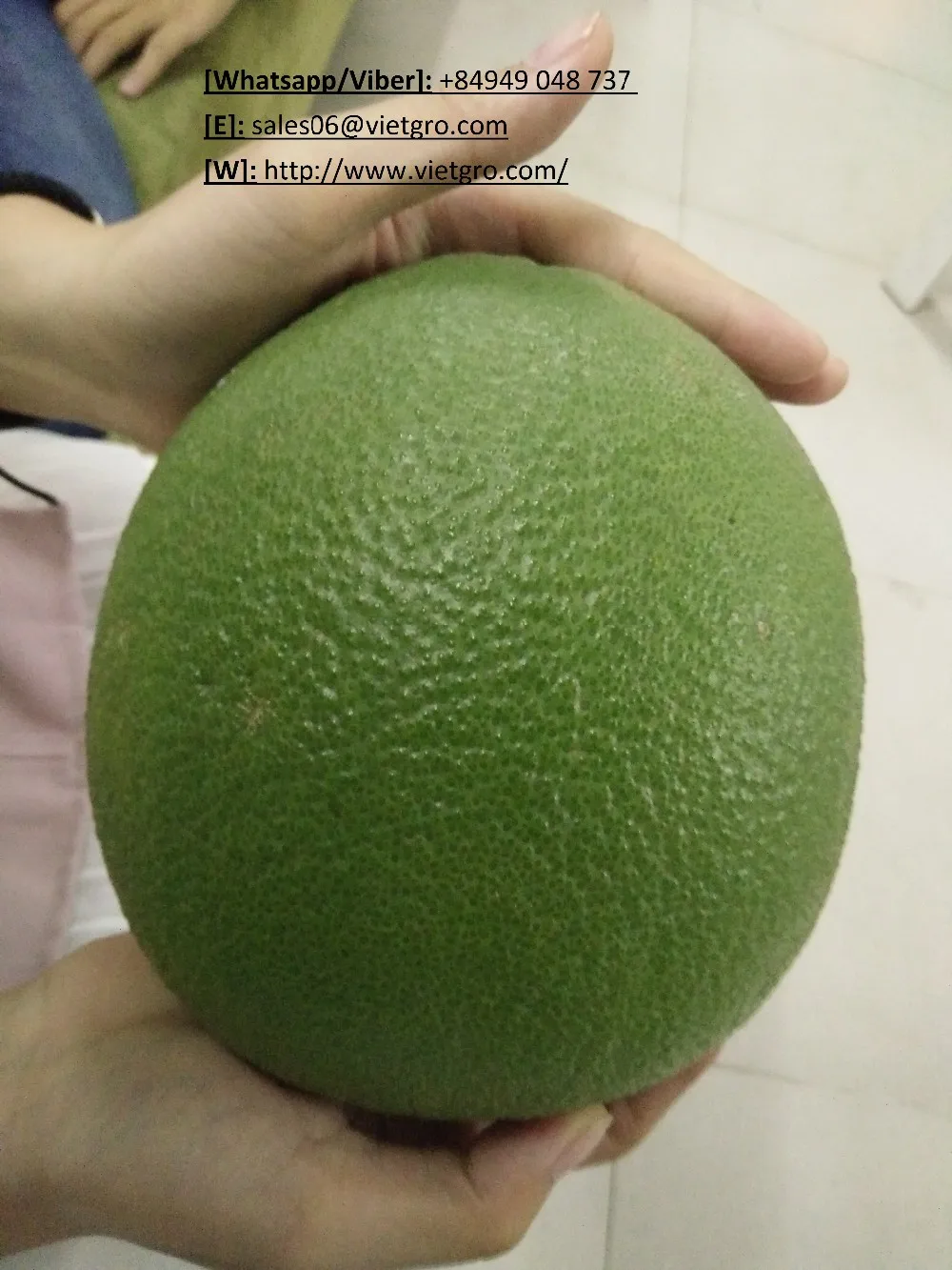 High Quality Fresh White Flesh Pomelo Buy Pomelo Price,Pomelo Fruit