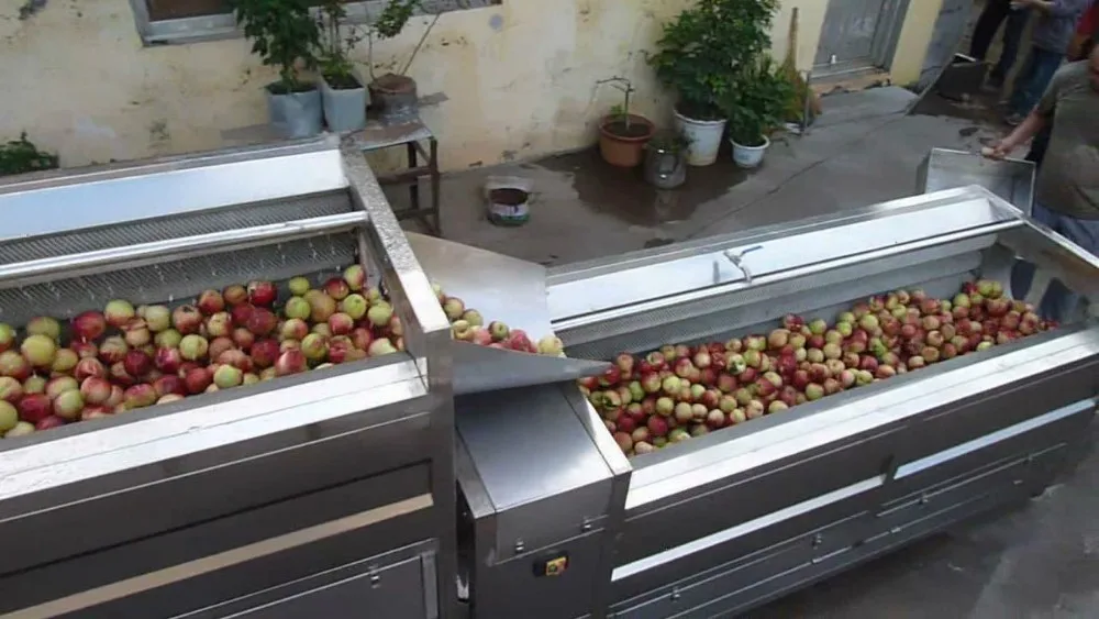 ozone fruit and vegetable washer