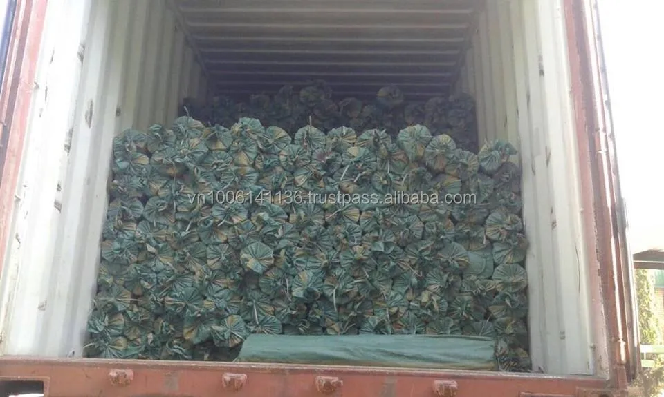 17028912_1323444621027135_1409285559_n