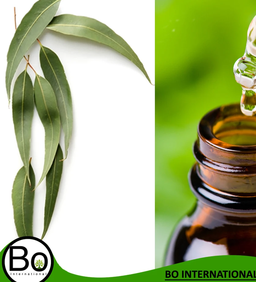 лимонный эвкалипт эфирное масло. масло эвкалипта 10мл. Aroma'saules эфирное масло эвкалипт. арома масло эвкалипт 10 мл. масло эфирное эвкалипт 10мл.