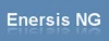 Enersis NG Web AMR Automated Meter Reading software