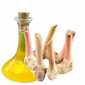Thai Galangal Essential Oil : ISO, GMP Certified : High Quality Best Price