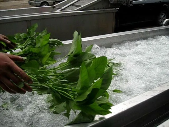 ozone vegetable washer