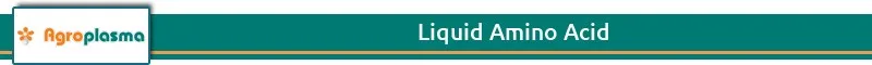 Liquid Amino Acid Title.jpg
