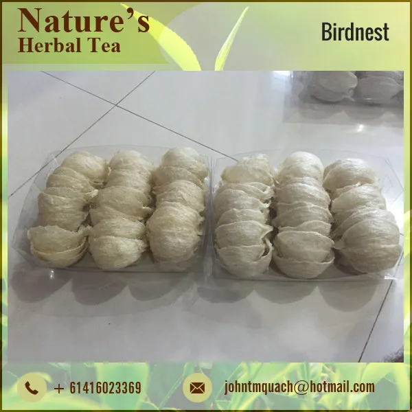 Indonesia Edible Swallow Bird Nest Buy Bird Nest,Bird Nest Price