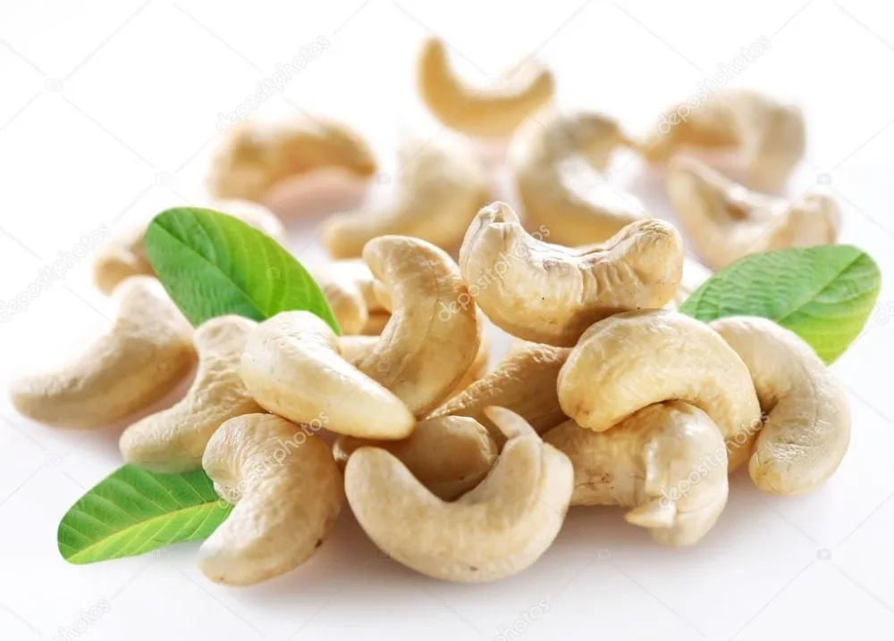 cashew nuts, whole cashew, peeled cashew, w-320 size cashew