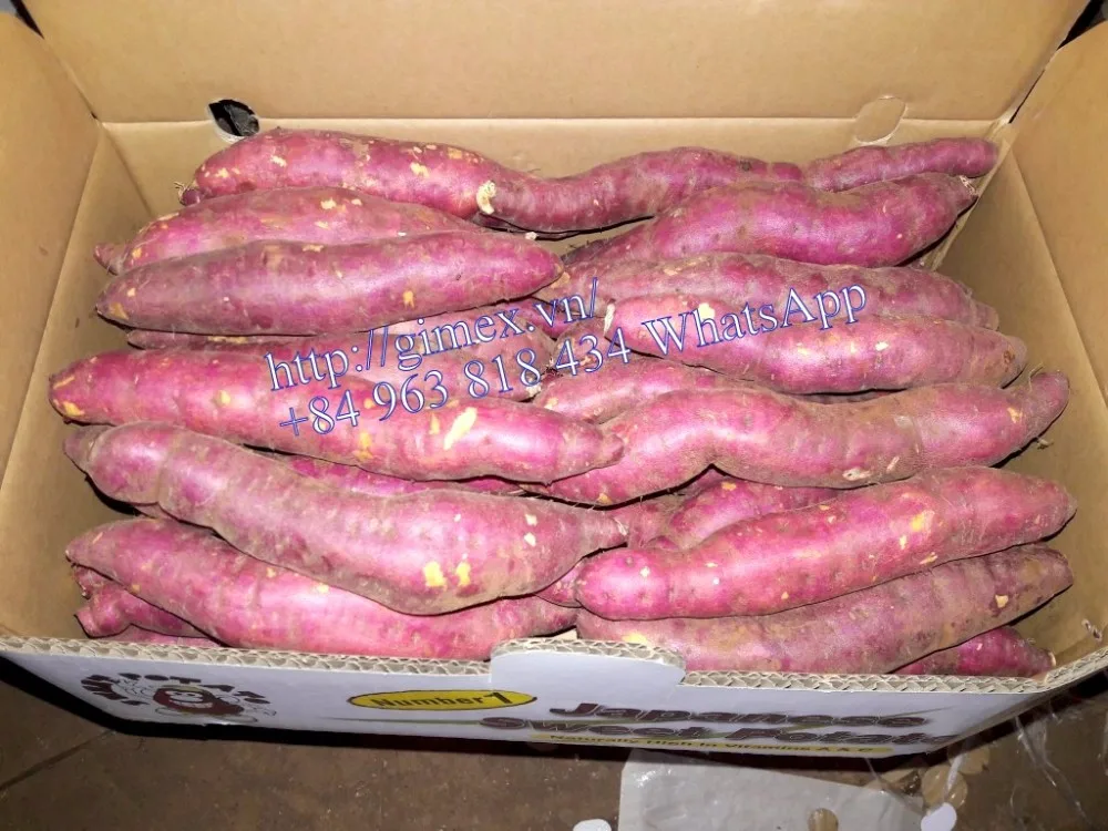 Jepang Ubi Jalar Kuning - Buy Vietnam Ubi Jalar,Segar Ungu Ubi Jalar