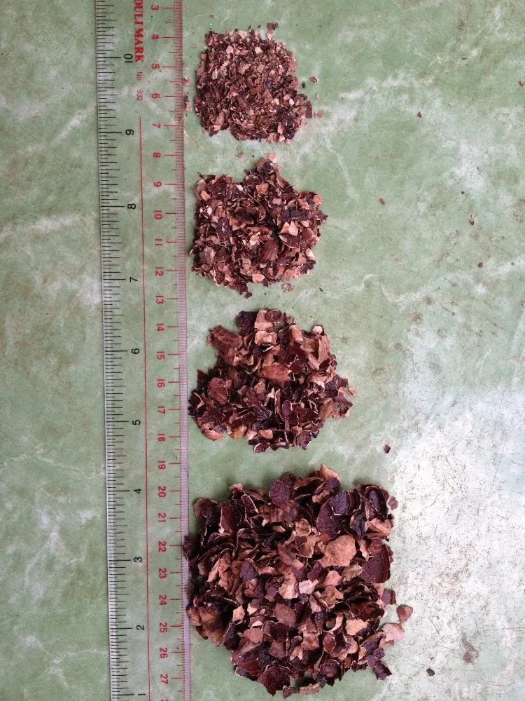 Cashew husk  12mm.JPG