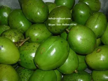 June Plum Goldpflaume Golden Apple Cythere Fruit View June Plum Vietloyal Product Details From Viet Loyal Import Export Company Limited On Alibaba Com