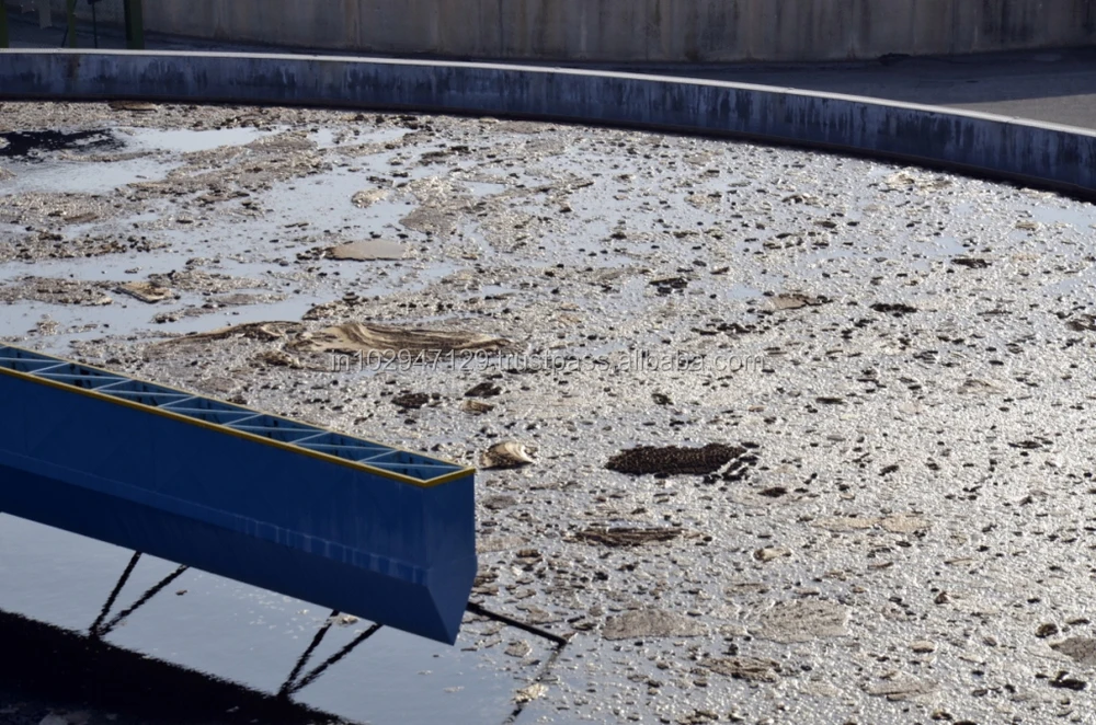 Biological Product For Removal Of Fat Oil And Grease From Wastewater Collection System Buy