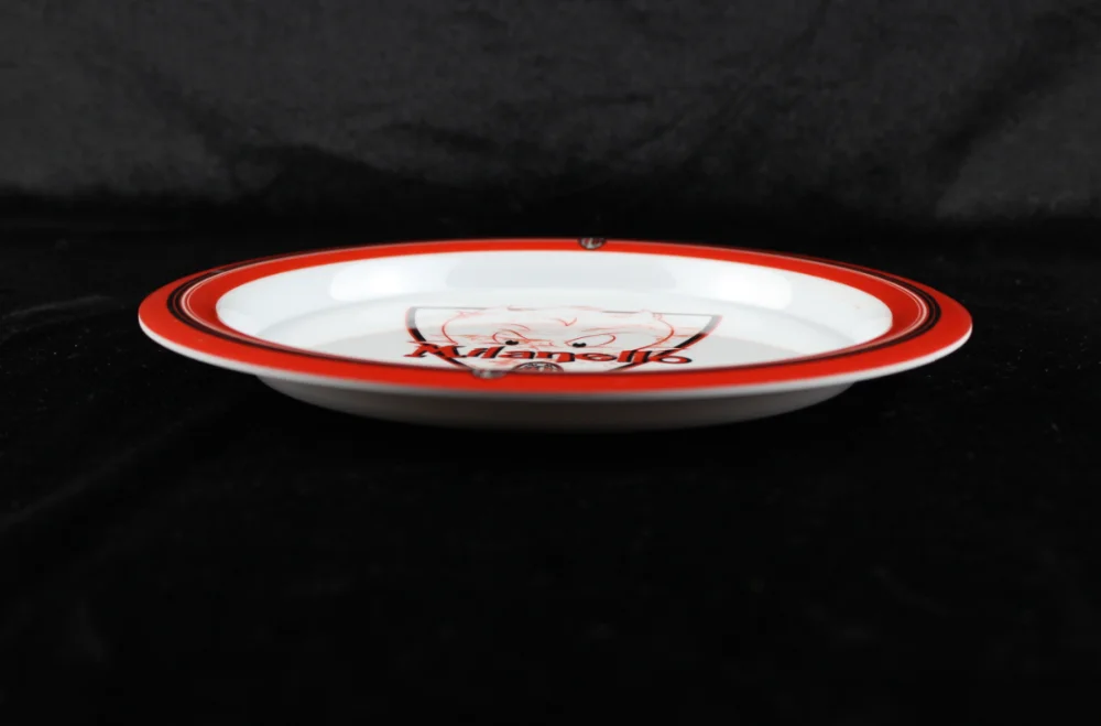 100% melamine plate
