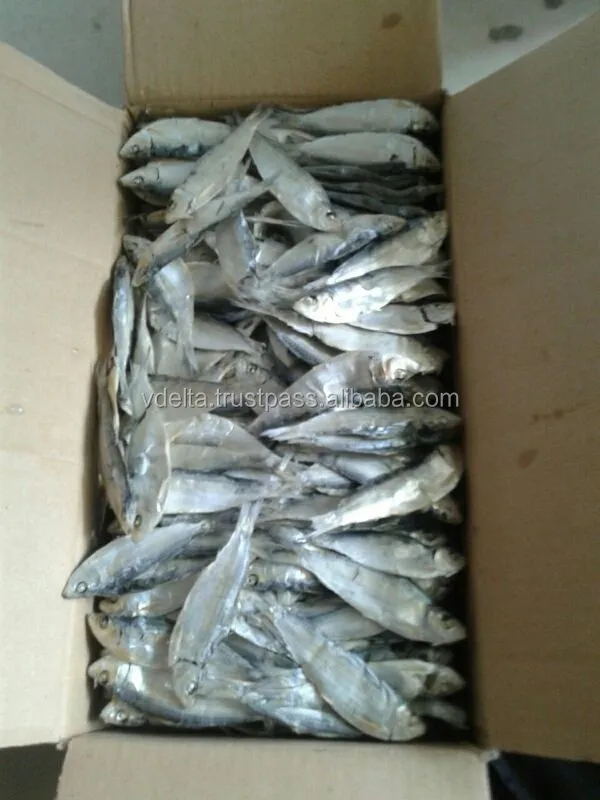 Dry Stockfish,Herring Fish / Whole Round Sardine Fish Buy Canned