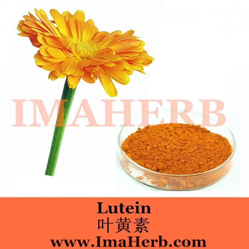 Marigold Flower Extract Powder Lutein Eye Drops Buy Super Lutein