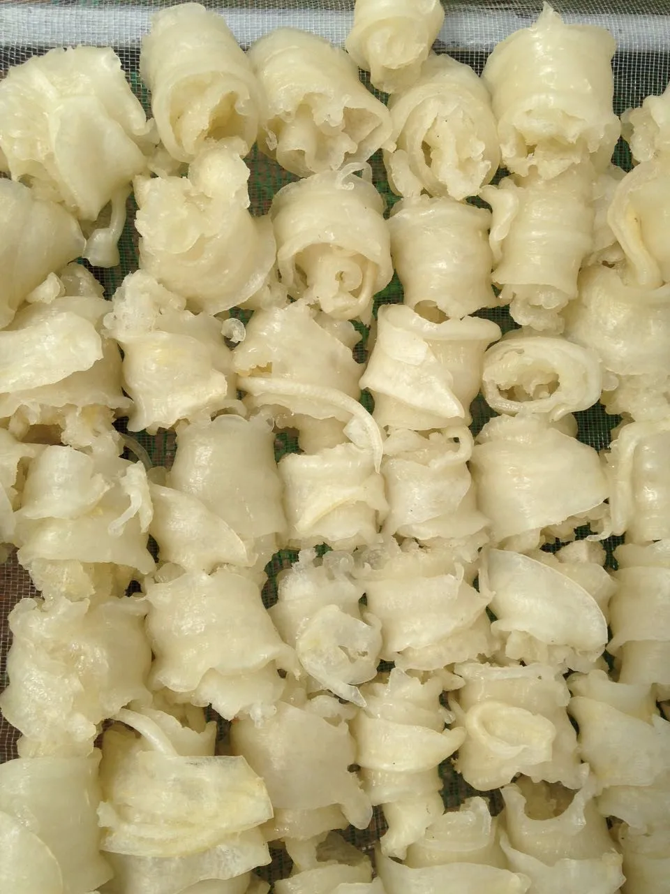 Dry Cat Fish Maws Buy Dried Rose Fish Maw,Catfish Maw