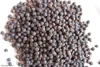 vietnam black pepper processed in high quality and competitive price from Ms Kate Phalce (kate@phalcospices.com)