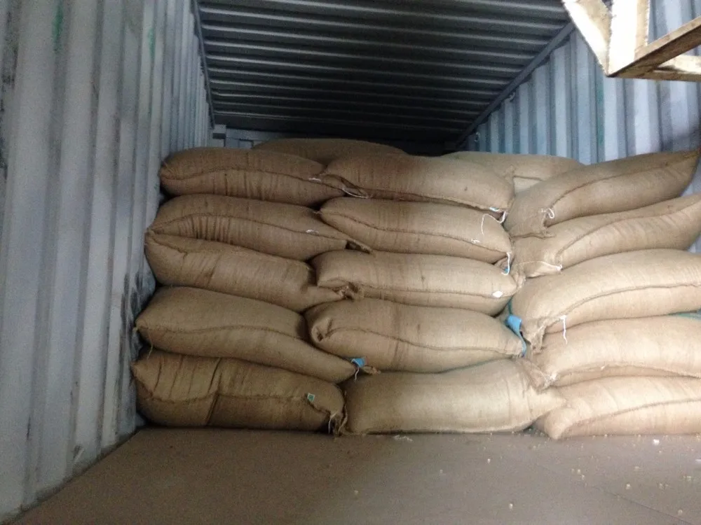 Loading Container 01.JPG