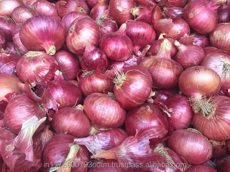Fresh Indian Big Onion Buy Fresh Onion Export To Dubai,Big Onion