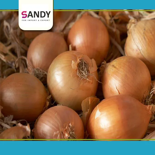 Fresh Gold Onion ( Pearl Onion ) ( Yellow Onion ) - Buy Pearl Onions ...