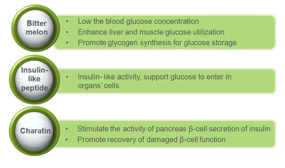 OEM GMP certified balance blood pressure Bitter Melon Extract tablets capsules nutritional supplement