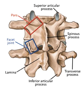 MID ROBO MAX, Spine Decompression Therapy, Chiropractor, Spine, Back bone, Spine solution