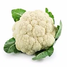 tshiab cauliflower exporter nyob rau hauv Is Nrias teb