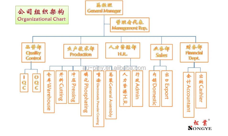 Organization Chart.png