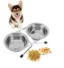 Ski Group Of Stainless Steel Pet Bowl Double Diner Bowls