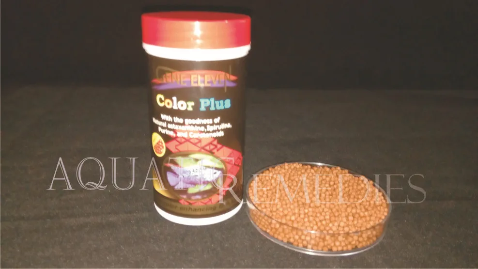 Gene Eleven Ornamental Fish Food Color Plus > 40 Protein Rich Feed