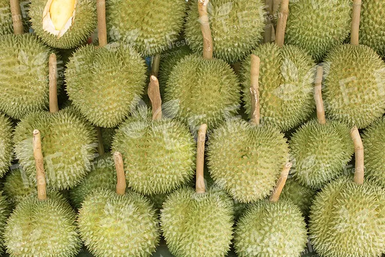 Unduh 82 Koleksi Gambar Durian Panjang  