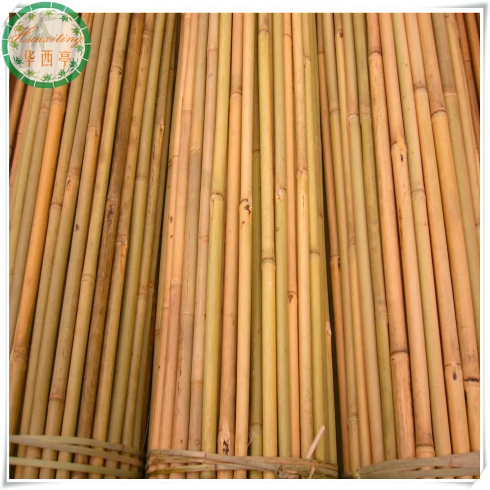 大きな竹の棒 Buy 竹の棒 大竹の棒 生竹の棒 Product On Alibaba Com