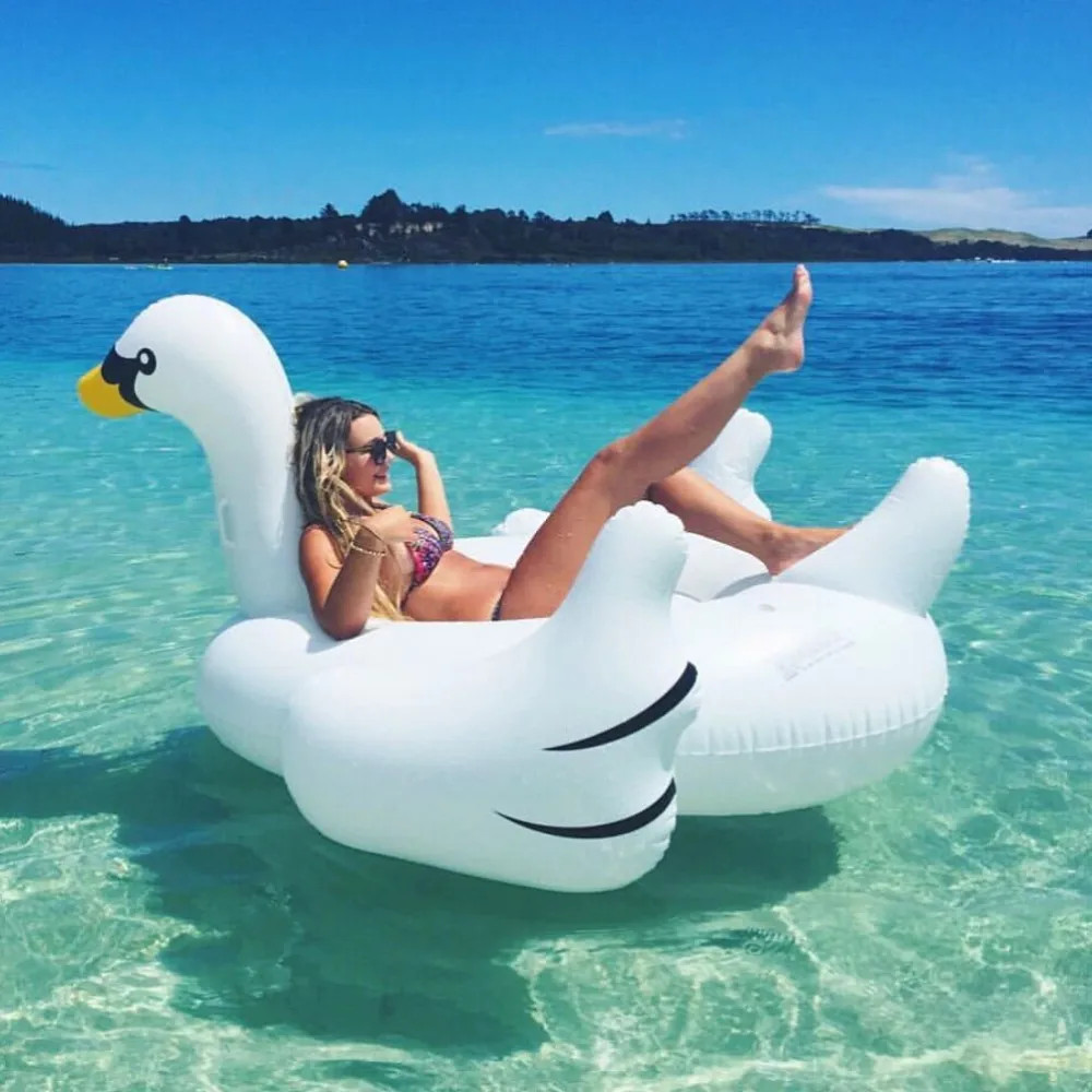 swan floatie