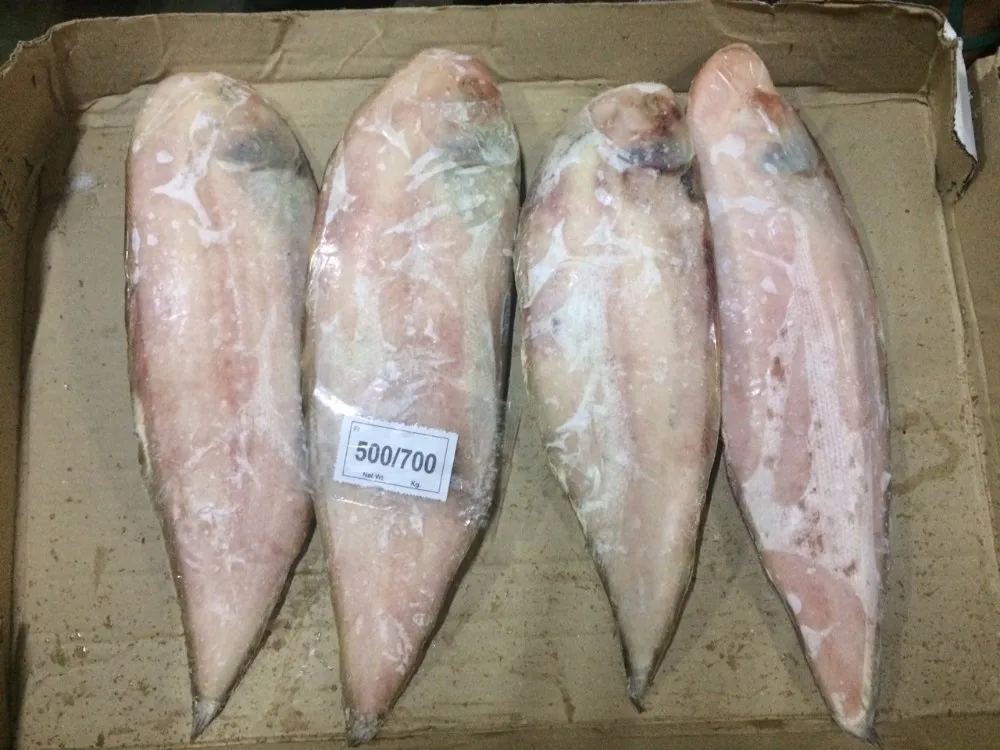 Sole Fish Whole Buy Sole Fish Product on