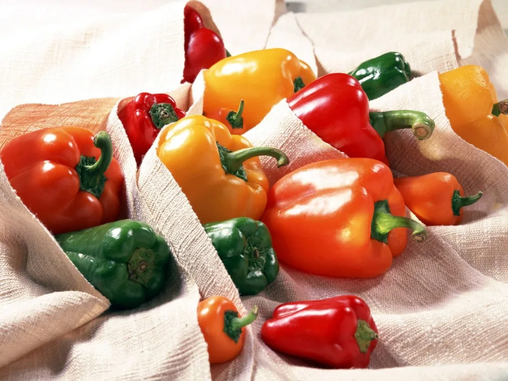 color capsicum/ bell pepper