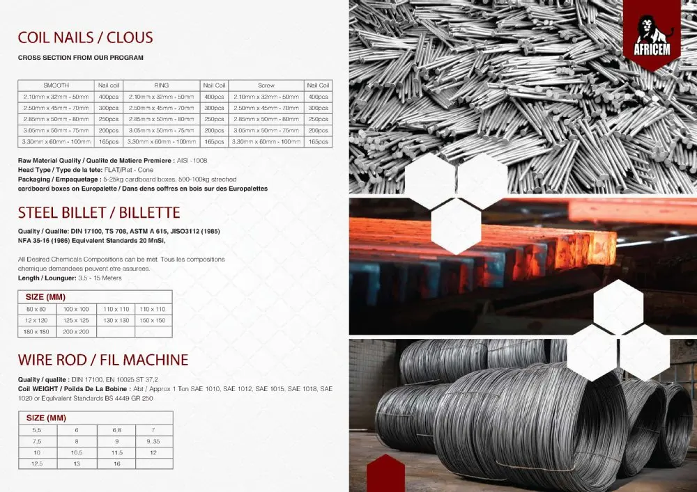 Common Wire Nails / Roofing Nails / Galvanized concrete Nails