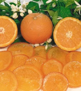 preserved orange slice