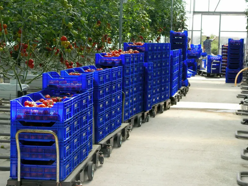 Stenless Steel Greenhouse Trolley,Hydrophonic Trolley Buy Hydraulic