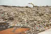 Suitable microbial enzymes for solid waste composting