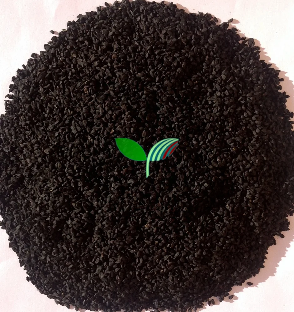 Семена Эфиопского Черного Тмина Купить