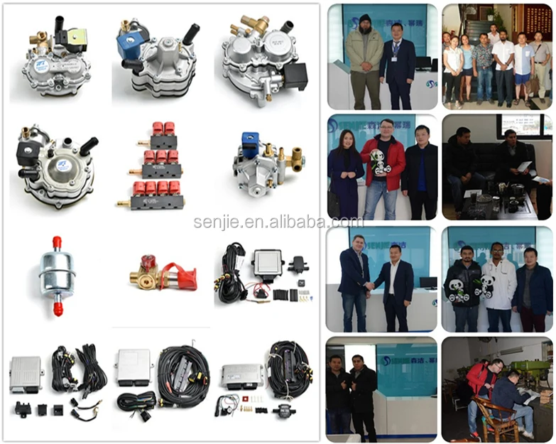 Conversion Kit/lpg Kit For Lpg Auto Parts Buy Lpg Kit,Lpg Kit For Lpg