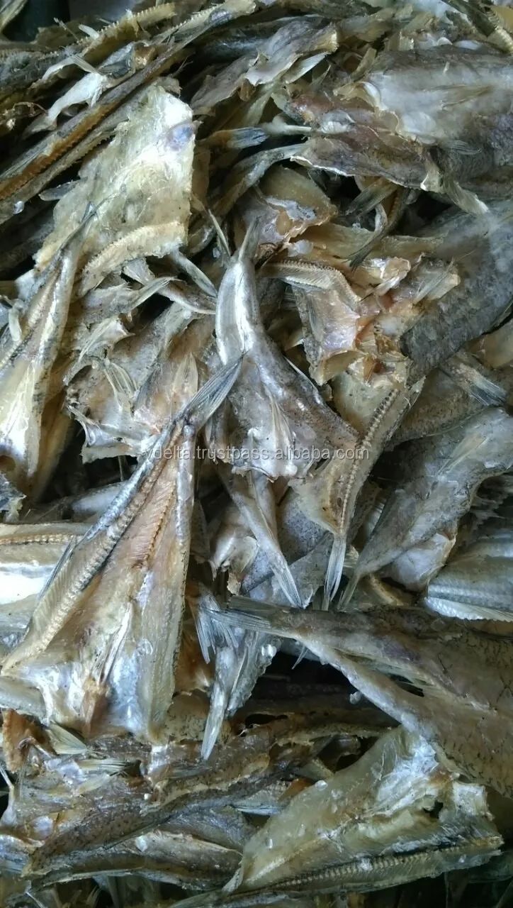 The Best Price For Dried Herring / Big Eye Herring From Vietnam / Amber