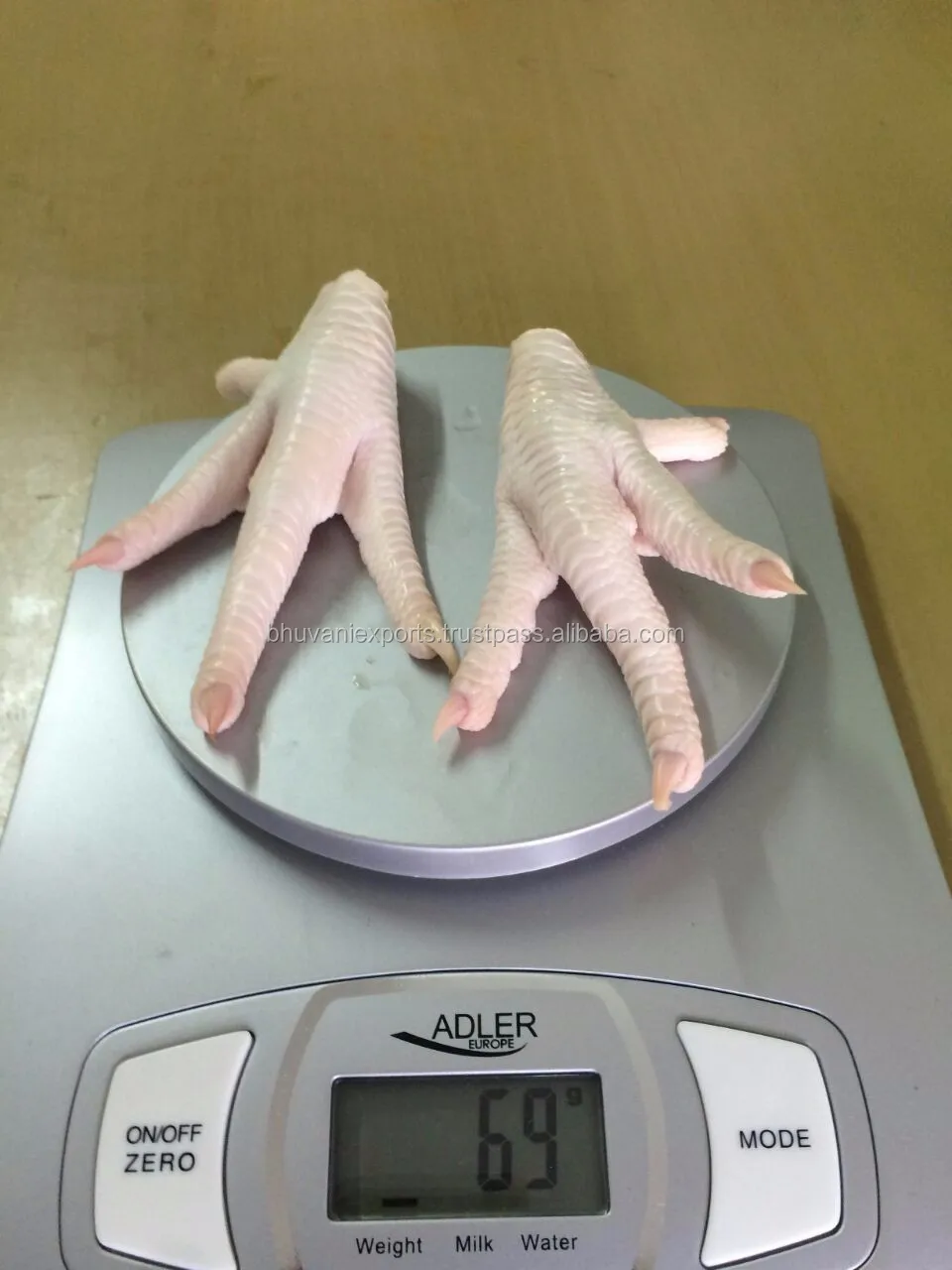 paw5.JPG