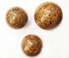 Best Quality 2017 Hot Sale Natural Mariyam (Sea Fossil) - Wholesale Gemstone Balls - Prime Exports