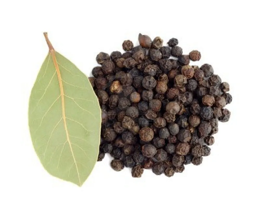 wholesale black pepper essential oil