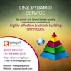 Professional SEO Services , Link Pyramid - www.seo2web.com