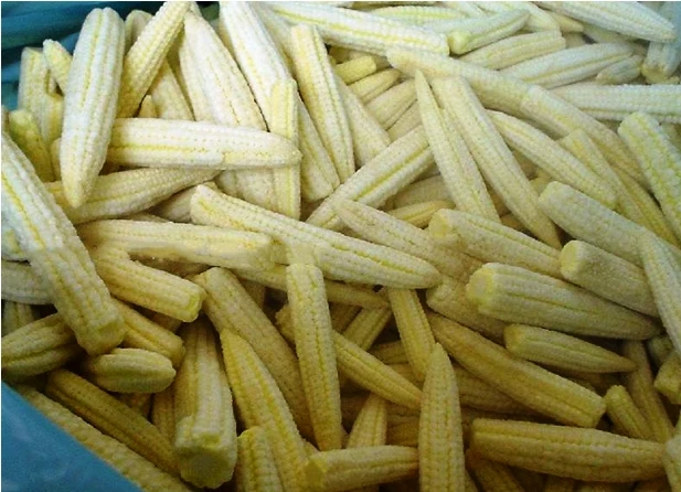 frozen baby corns - frozen sweet corn kernels - iqf sweet corn