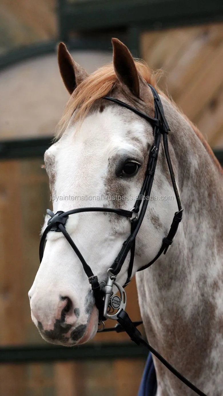 Horse Rolled Bridle With Mexican Noseband,Horse Mexican Noseband With