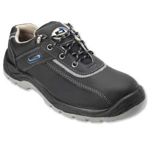 workman safety shoes