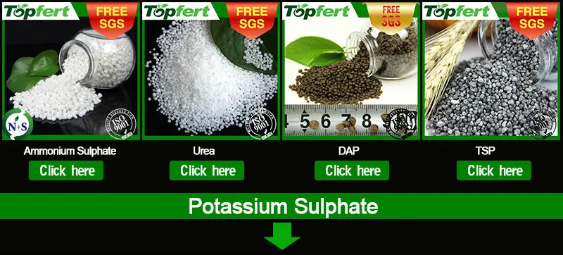 potassium sulphate