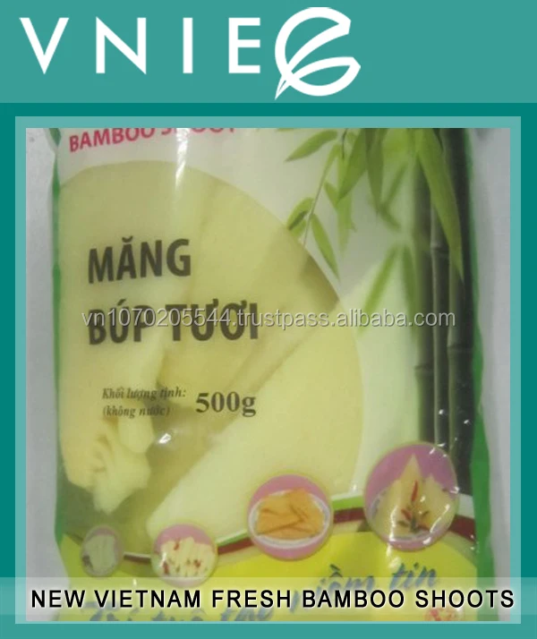 Vietnam Fresh Bamboo Shoots For Sales Buy Canned Bamboo Shoot,Bamboo